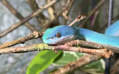 Endlich umgezogen: neue Tiere sind nun sichtbar für unsere Besucher