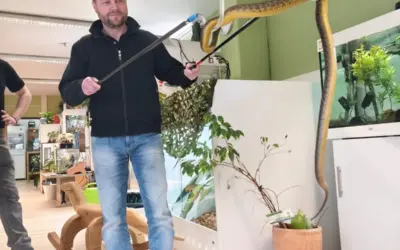 Fortbildung im Umgang mit giftigen Tieren