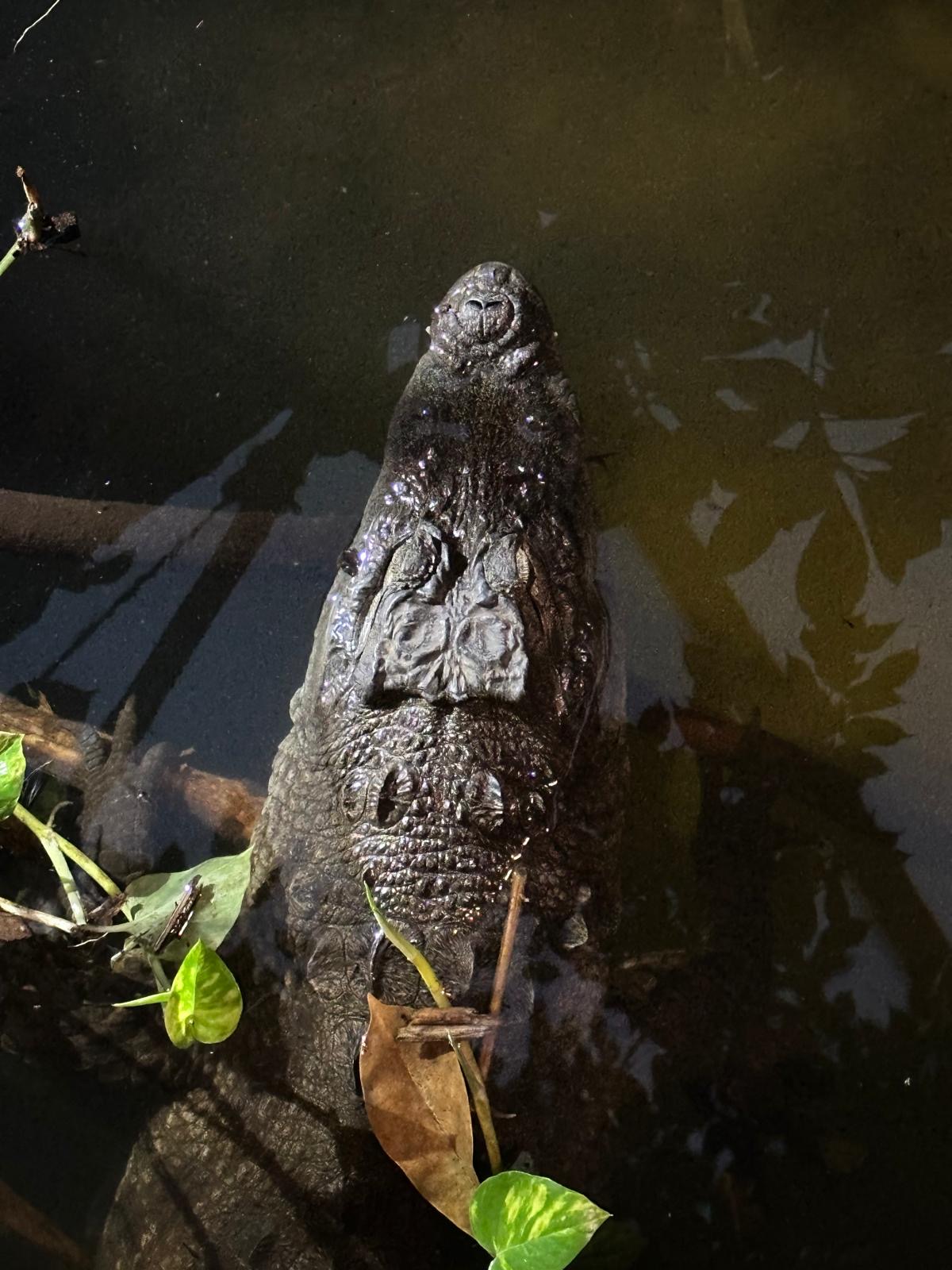 e6289e9f-6f6a-4ca8-98be-78b582eddca6